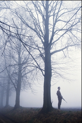 The Hunter's Wolf B0DRFRKPDH Book Cover