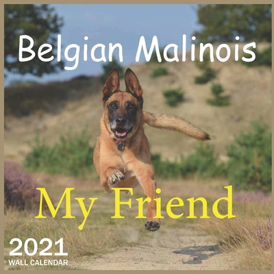 2021 Belgian Malinois: 2021 Wall & Office Calendar, 12 Month Calendar B08NMKDY62 Book Cover