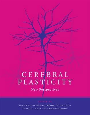 Cerebral Plasticity: New Perspectives 0262015234 Book Cover