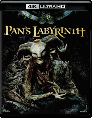Pan's Labyrinth            Book Cover