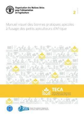 Paperback Manuel Visuel des Bonnes Pratiques Apicoles ? l'usage des Petits Apiculteurs D'Afrique Book