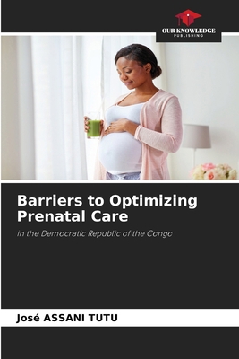 Barriers to Optimizing Prenatal Care 6630484541 Book Cover