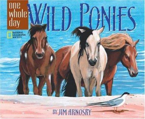 Wild Ponies: A One Whole Day Book 0792271211 Book Cover