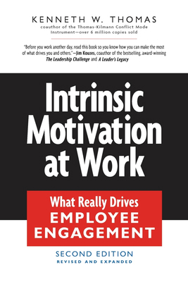 Intrinsic Motivation at Work: Building Energy a... 1576755673 Book Cover