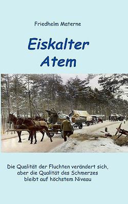 Eiskalter Atem [German] 383701133X Book Cover