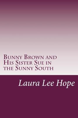 Bunny Brown and His Sister Sue in the Sunny South 1497460905 Book Cover