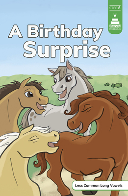 A Birthday Surprise 1484698886 Book Cover