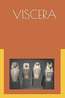 The Viscera: Ancient Egyptian Internal Medicine B09HR2F6NY Book Cover