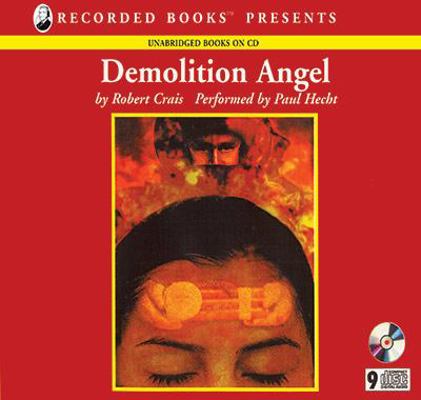 Demolition Angel 0788761706 Book Cover