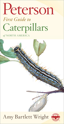 Peterson First Guide to Caterpillars of North A... 0395911842 Book Cover