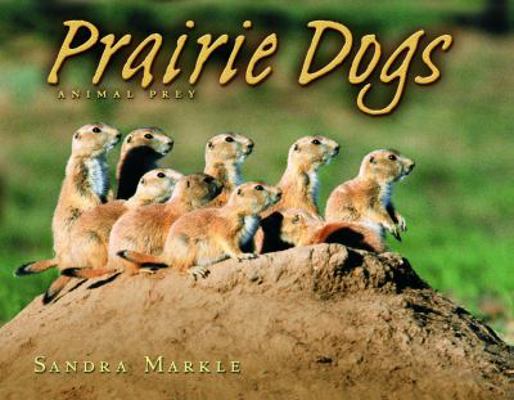 Prairie Dogs: Animal Prey 0822564386 Book Cover