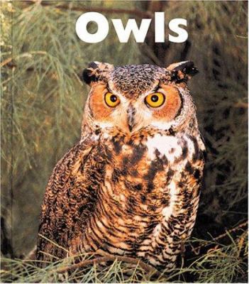 Owls 1567664814 Book Cover