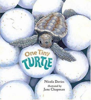 One Tiny Turtle 0763615498 Book Cover