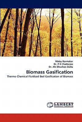 Biomass Gasification 3843375577 Book Cover