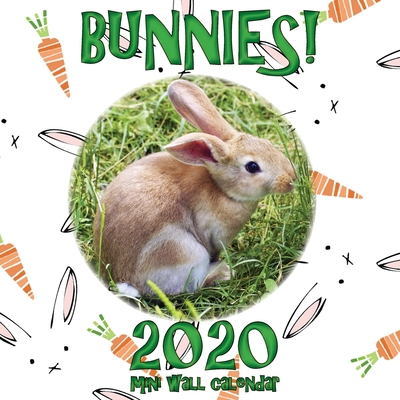 Bunnies! 2020 Mini Wall Calendar 1642525138 Book Cover