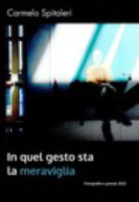 Hardcover In Quel Gesto Sta la Meraviglia [Italian] Book