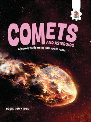 Comets and Asteroids 183569103X Book Cover