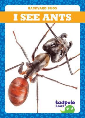 I See Ants 1641282177 Book Cover