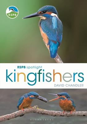 Rspb Spotlight Kingfishers 1472987616 Book Cover