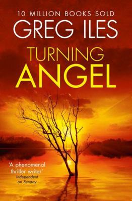 Turning Angel 0007546548 Book Cover