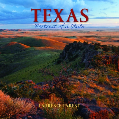 Texas: Portrait of a State 1513262181 Book Cover