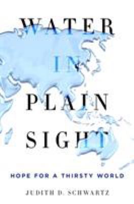 Water in Plain Sight: Hope for a Thirsty World 1250069912 Book Cover