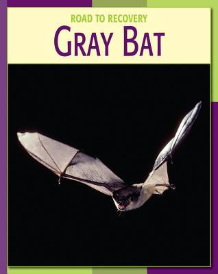 Gray Bat 160279037X Book Cover