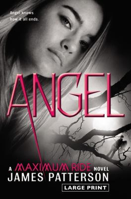 Angel [Large Print] 0316122017 Book Cover