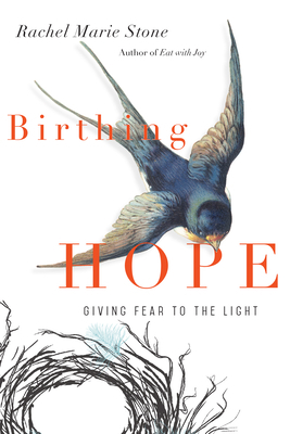 Birthing Hope: Giving Fear to the Light 083084533X Book Cover