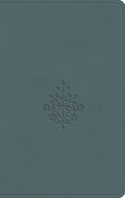 ESV Value Compact Bible (Trutone, Paris Sky, Br... B0DWNDQYX1 Book Cover