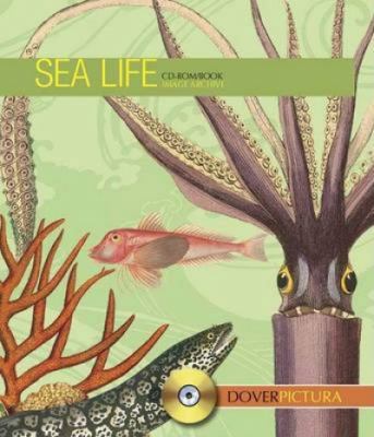 Sea Life [With CDROM] 0486996689 Book Cover