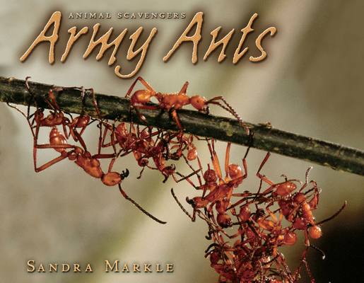 Army Ants 0822531968 Book Cover