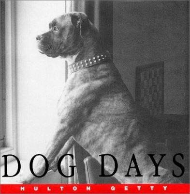 Dog Days 0688177034 Book Cover