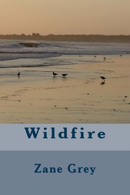 Wildfire 1986762688 Book Cover