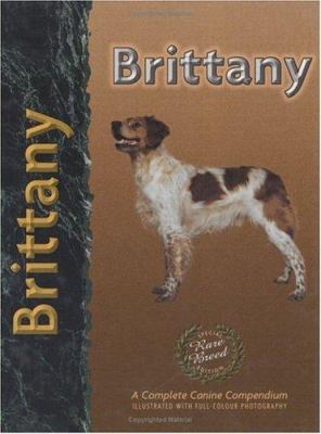 Brittany (Pet Love) 1903098742 Book Cover