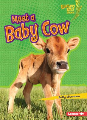 Meet a Baby Cow 1512412368 Book Cover