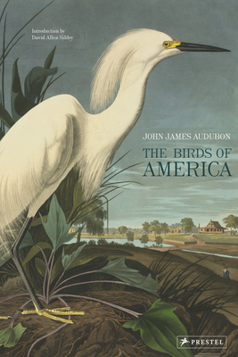 The Birds of America 3791379143 Book Cover