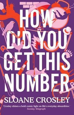 How Did You Get This Number 1846272262 Book Cover