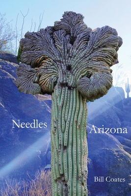 Needles Arizona B0FCPCLKGN Book Cover