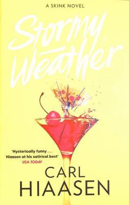 Stormy Weather (Skink) 1408729229 Book Cover