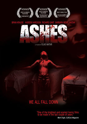 Ashes B005ZKTGSW Book Cover