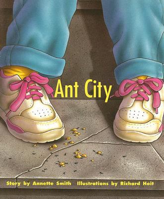 Ant City: Individual Student Edition Turquoise ... 0763519944 Book Cover
