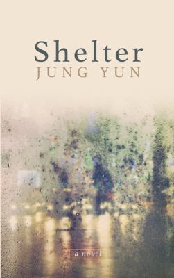 Shelter (Wheeler Publishing Large Print Hardcover) [Large Print] 141049134X Book Cover
