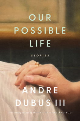 Our Possible Life: Stories 1324130369 Book Cover