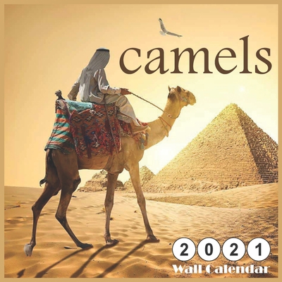 camels: 2021 Wall & Office Calendar, 12 Month Calendar