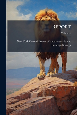 Report; Volume 4 1149518731 Book Cover