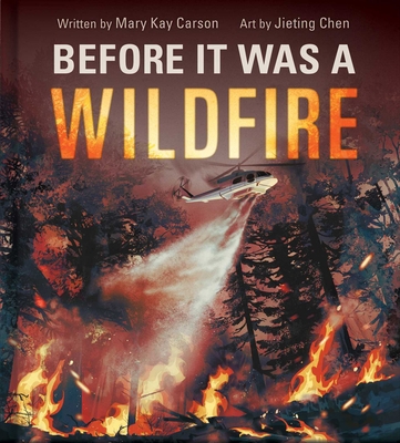 Before It Was a Wildfire 1499819005 Book Cover