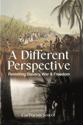 Paperback Different Perspective : Revisiting Slavery, War & Freedom Book