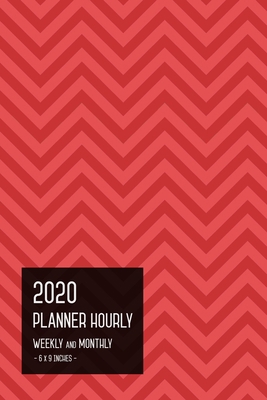 2020 Planner Hourly Weekly Monthly 6x9: Medium ... 1704729254 Book Cover