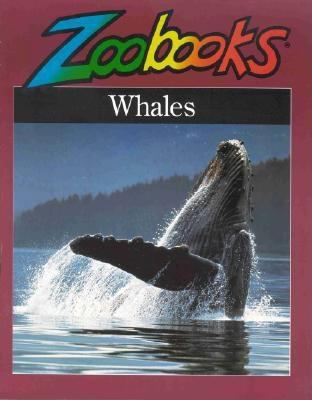 Whales 0937934100 Book Cover